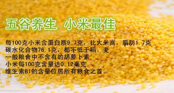 黄小米营养成分（黄小米富含哪些营养）