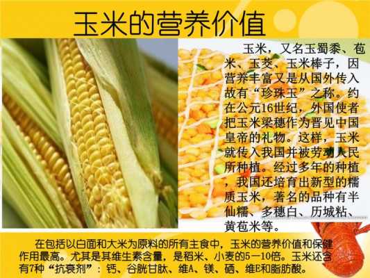 玉米营养的部分（玉米的营养器官）