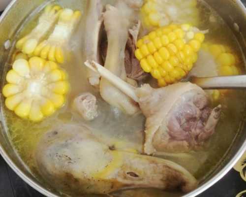玉米鸭汤营养价值（玉米鸭汤的功效和作用）