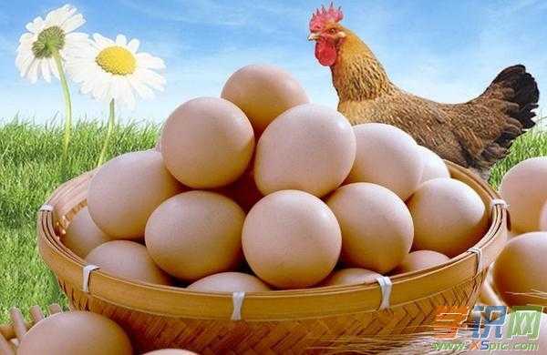 蛋鸡蛋营养价值及功效（鸡蛋的营养价值与功效与作用）