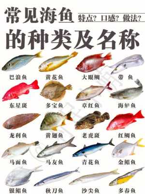 营养的海鱼（十大海鱼营养排行榜）