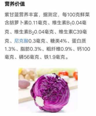 紫甘蓝的营养含量表（紫甘蓝的营养价值表）