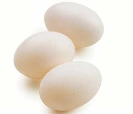 鸽子蛋的营养与禁忌（鸽子蛋的营养与禁忌有哪些）
