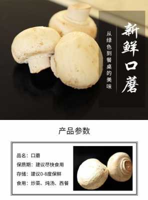 白口蘑营养（口蘑以白蘑质量最佳）