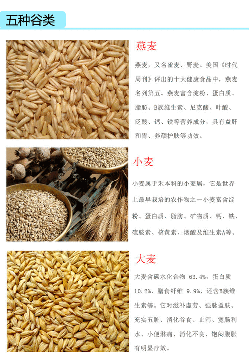 麦芽的营养和功效与作用（麦芽的营养和功效与作用是什么）