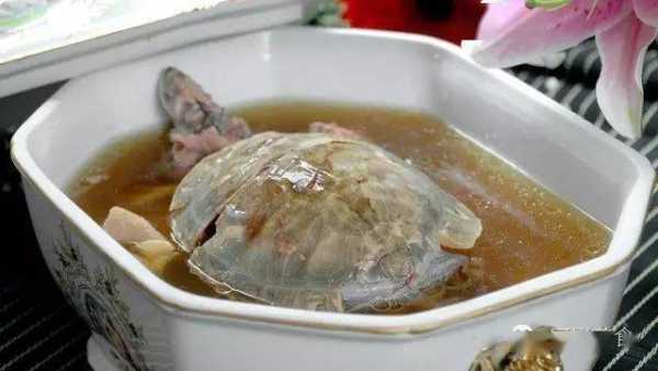关于乌龟炖鸡汤营养价值的信息