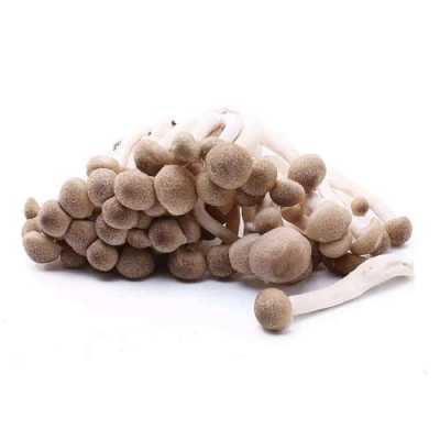 蟹味菇营养成分（蟹味菇营养成分和功效）