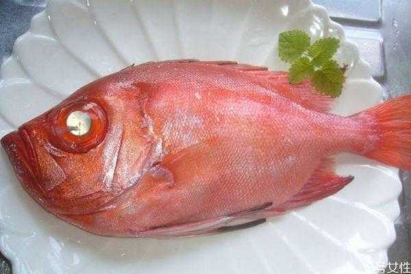 鱼的眼睛能吃有什么营养（鱼眼睛有营养价值吗）